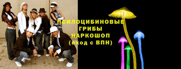 гидра Медвежьегорск