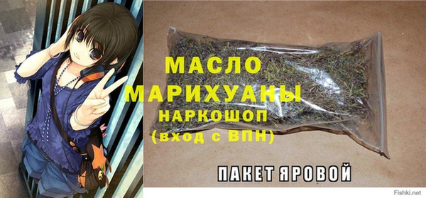 дмт Медногорск