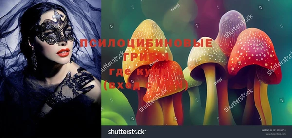 гидра Медвежьегорск