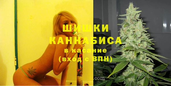 винт Майский