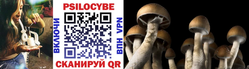 Купить  Бугульма  Псилоцибиновые грибы мухоморы 